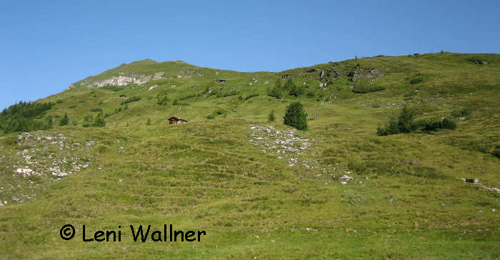 Gernkogel - Weiden