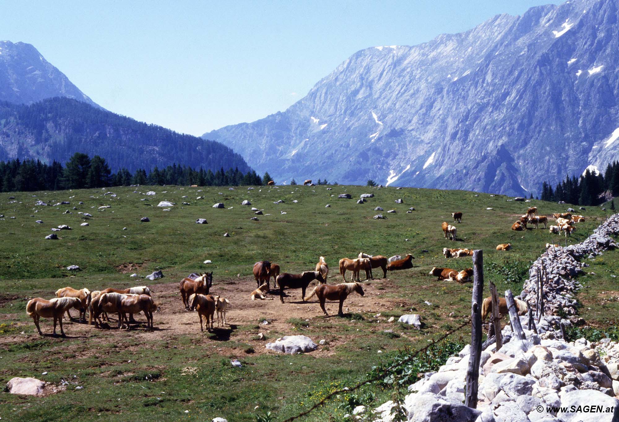 [Gesucht] Berg und Alm-Plateau unbekannt?