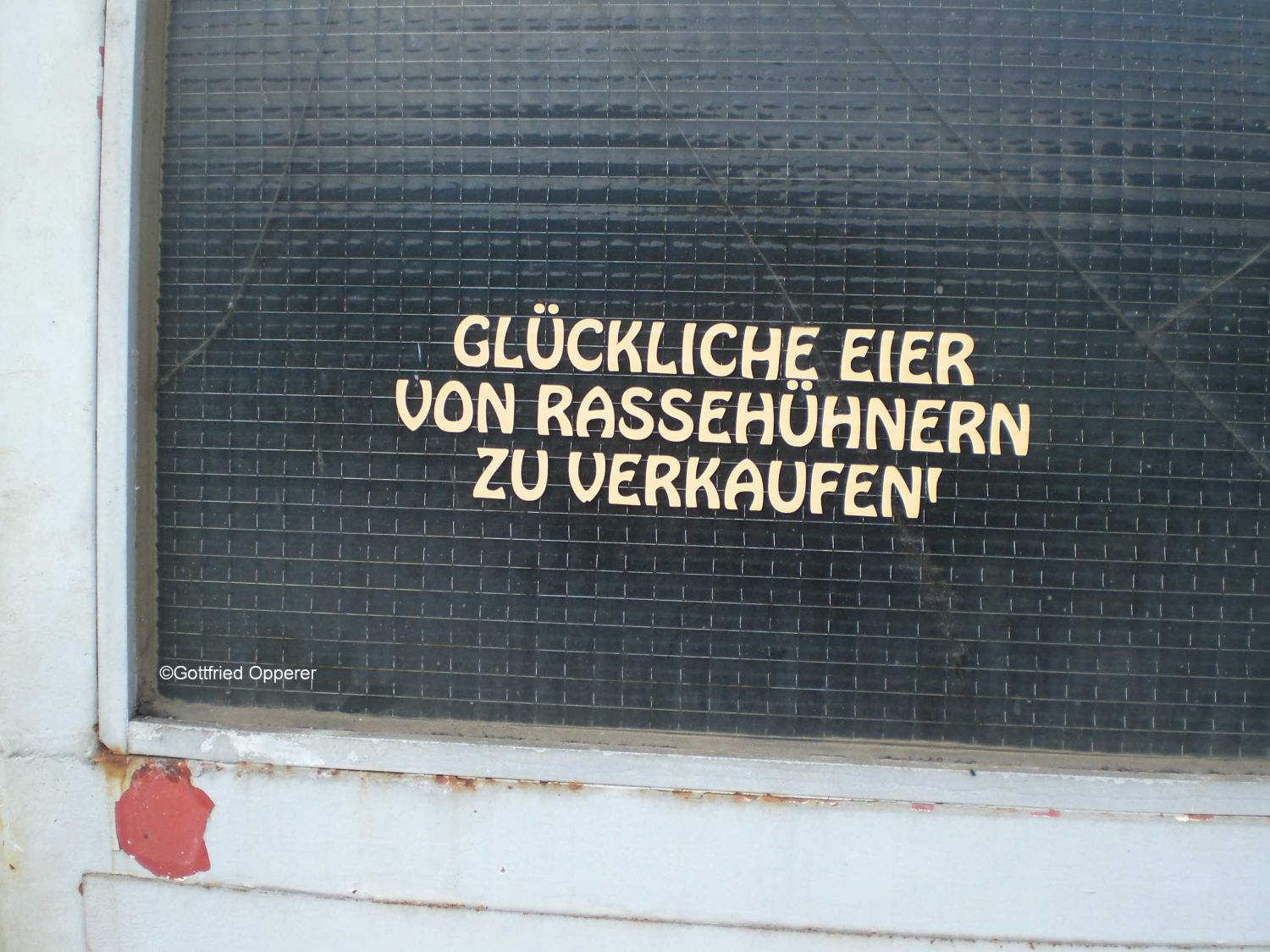 Glückliche Eier gibt es auch !!!