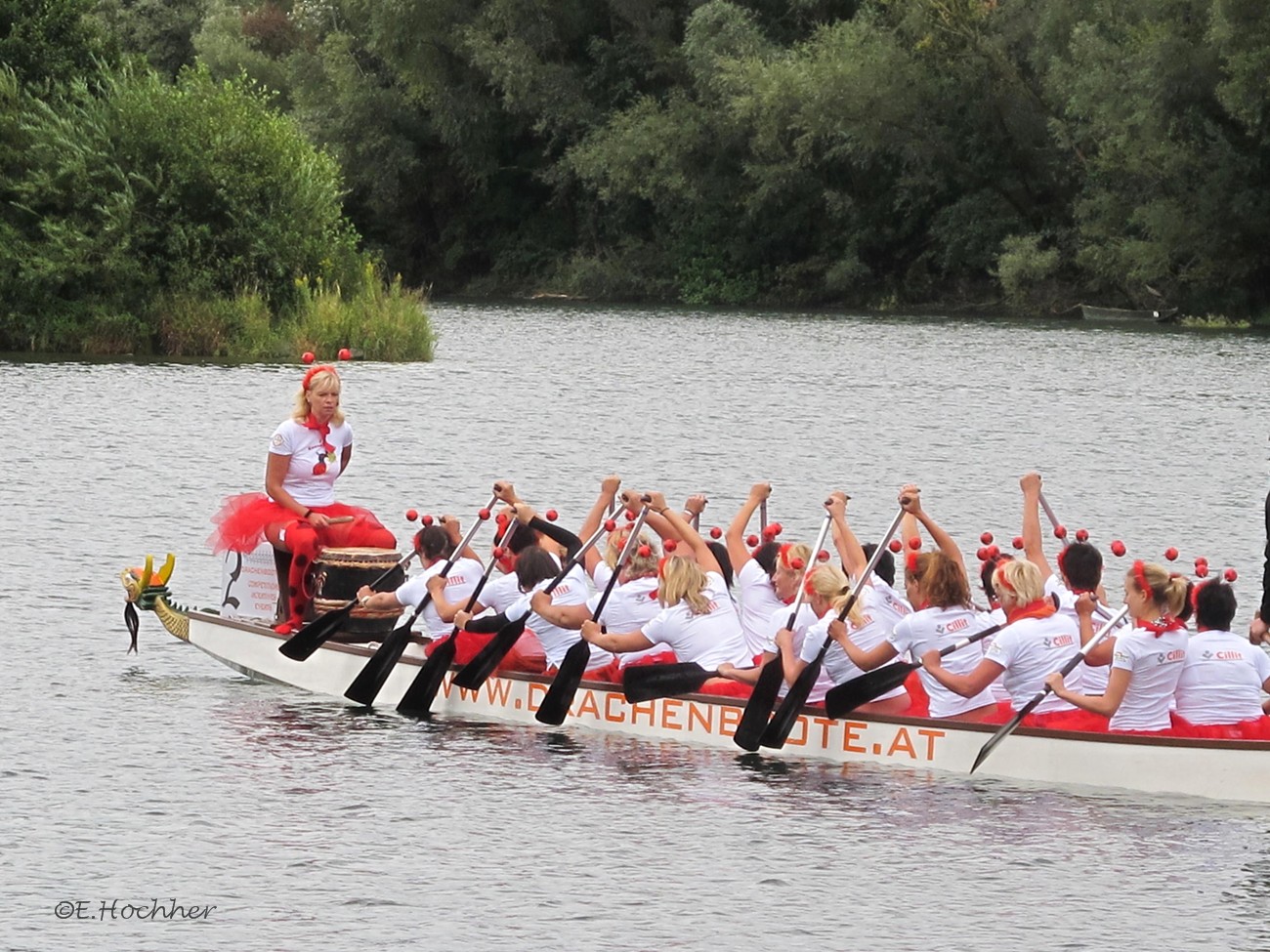 Glückskäferboot