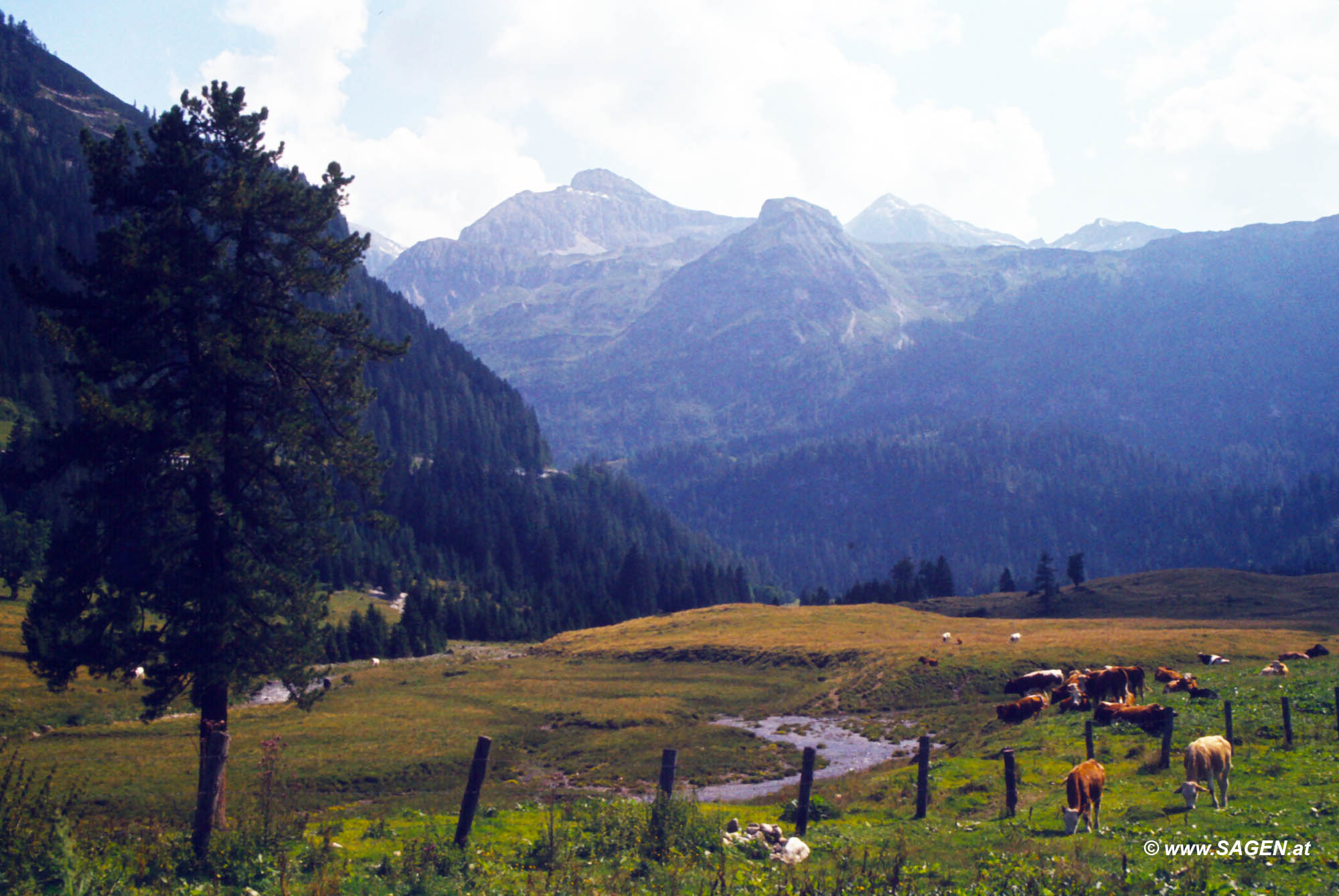 Gnadenalm Radstädter Tauern