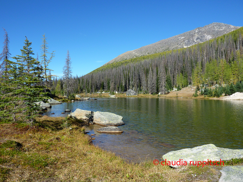 Goat Lake im Cathedral Provincial Park, BC, Kanada