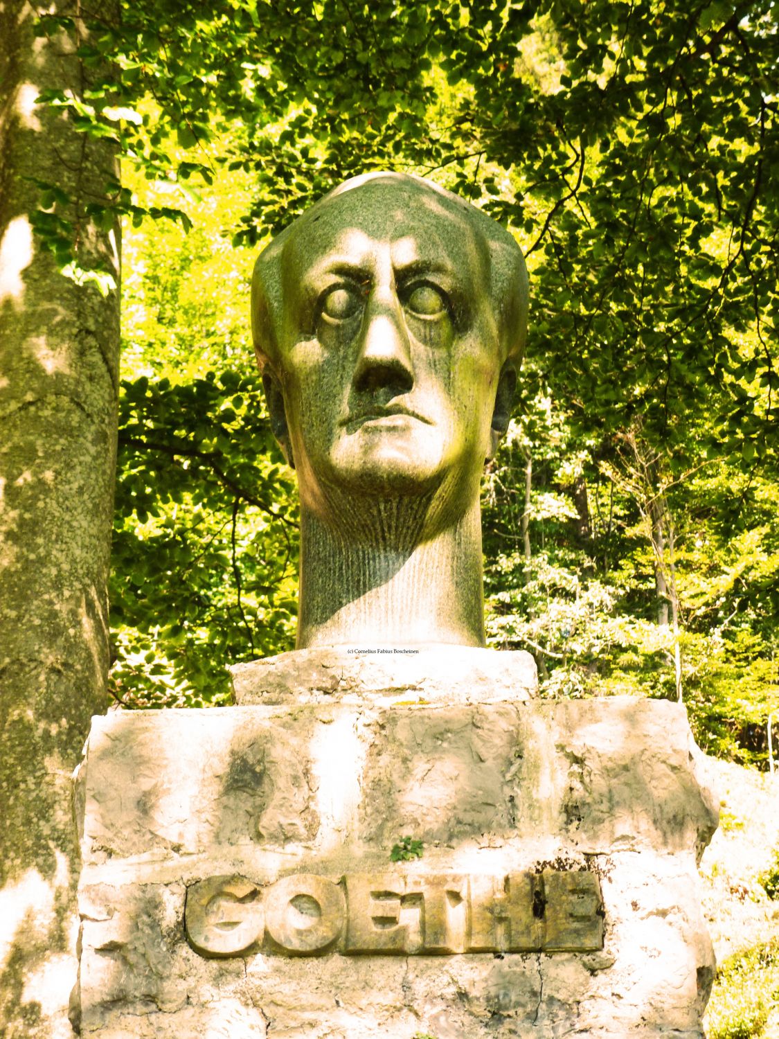 Goethe, ewig auch am Walchensee.