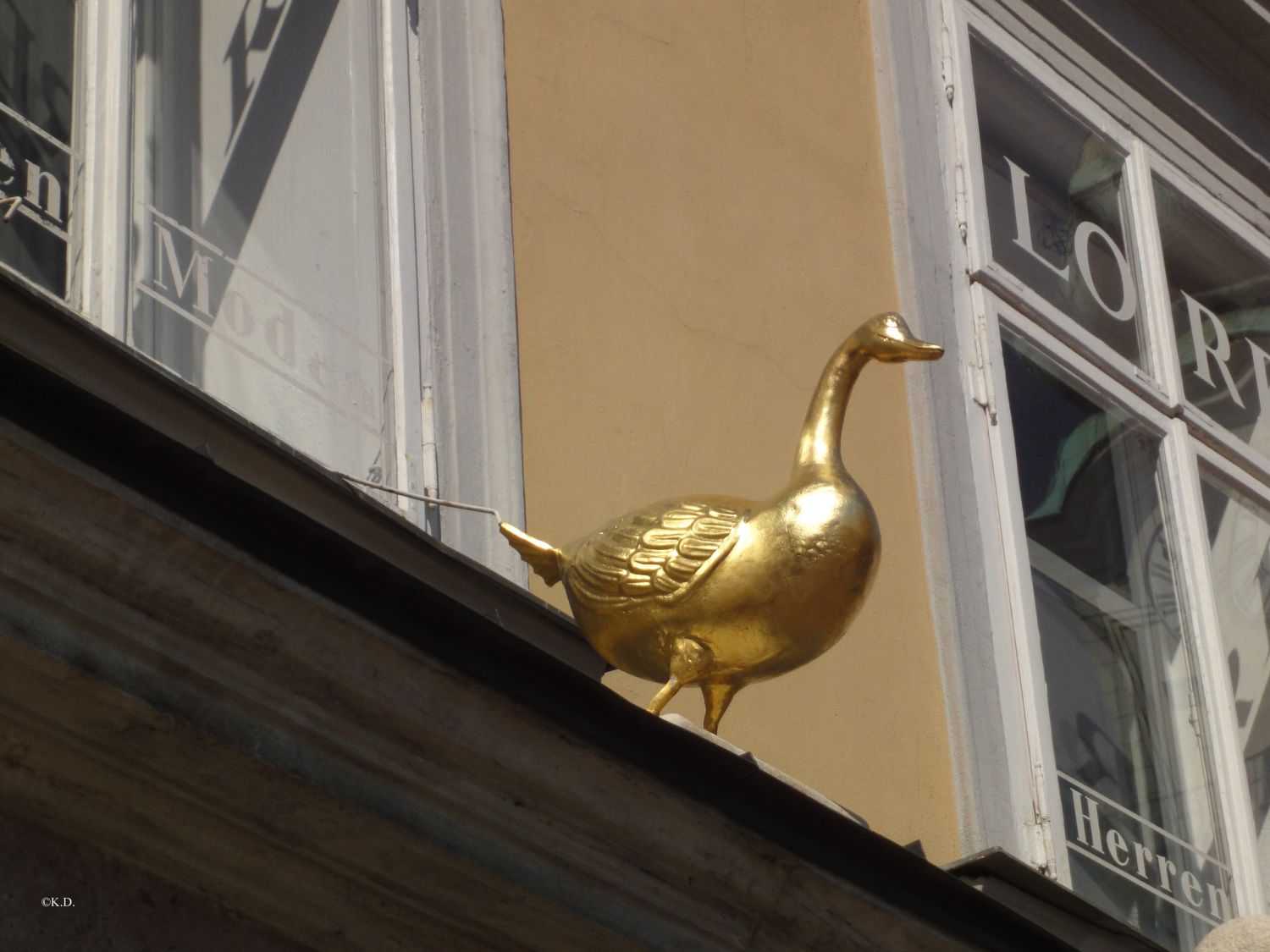 'Goldene Gans' in Klagenfurt