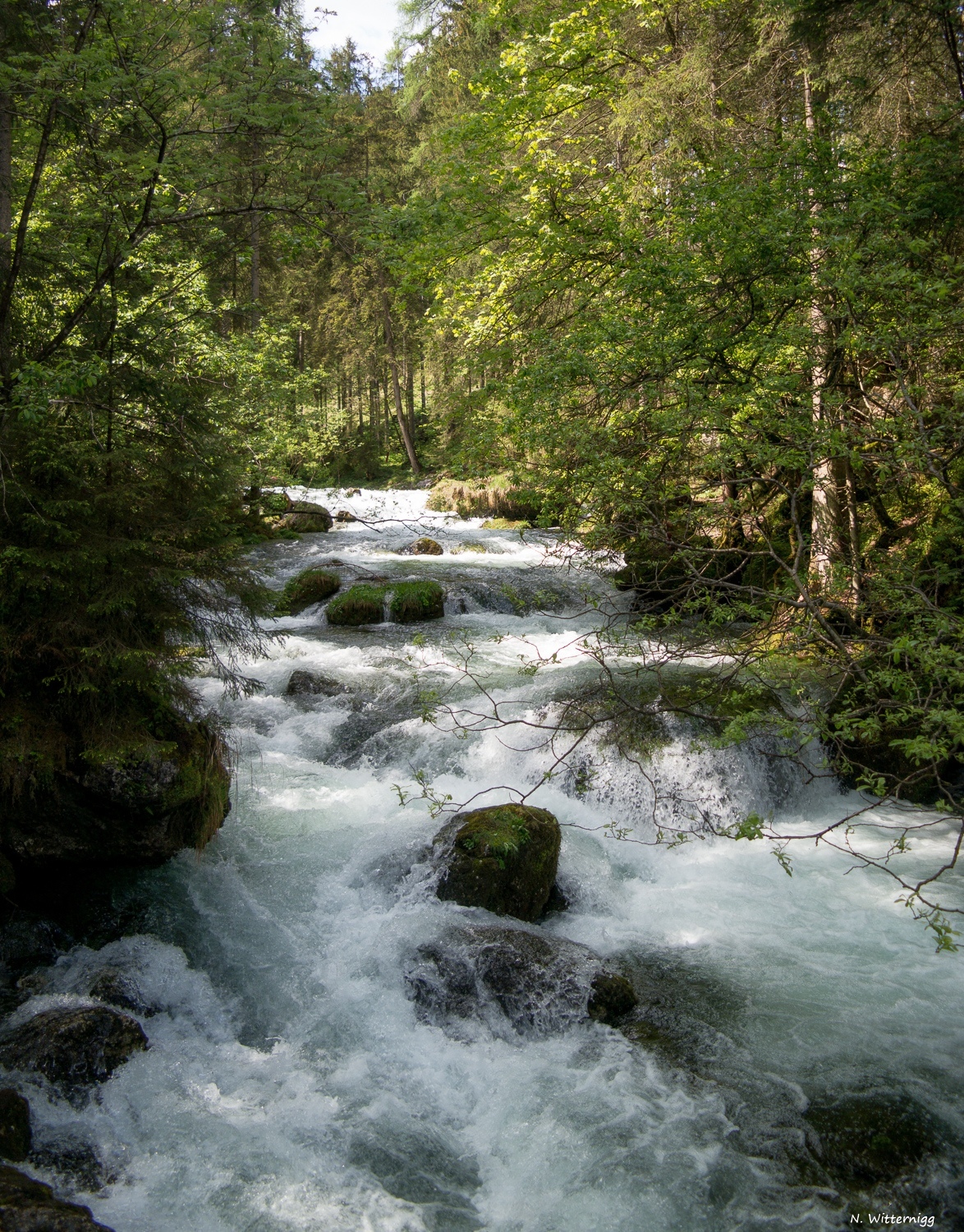 Gollinger Wasserfall - 1