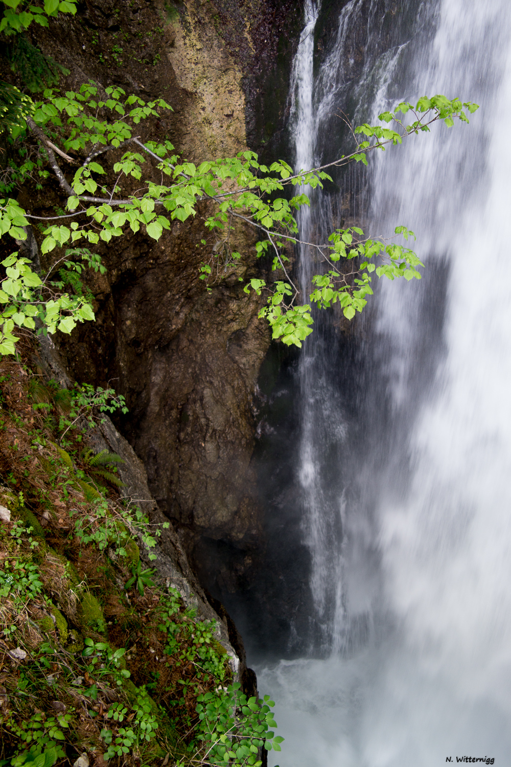 Gollinger Wasserfall - 4