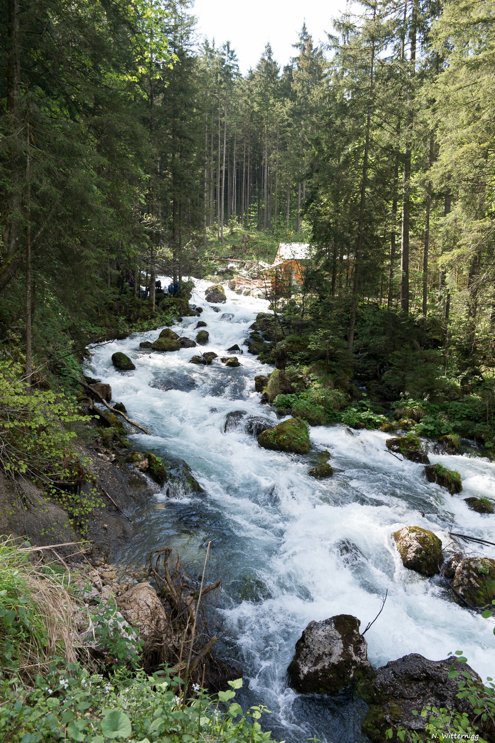 Gollinger Wasserfall - 9