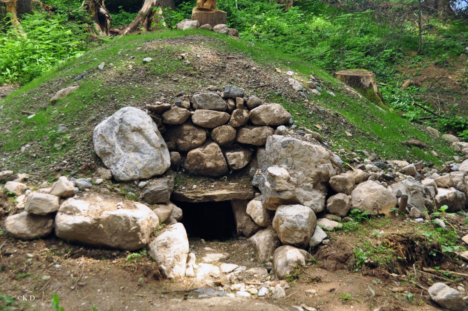 Gräberfeld auf der Gurina - Dellach im Gailtal (Kärnten)