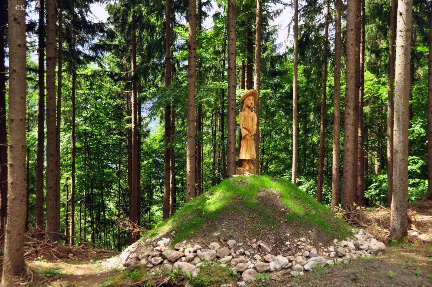 Gräberfeld auf der Gurina - Dellach im Gailtal (Kärnten)