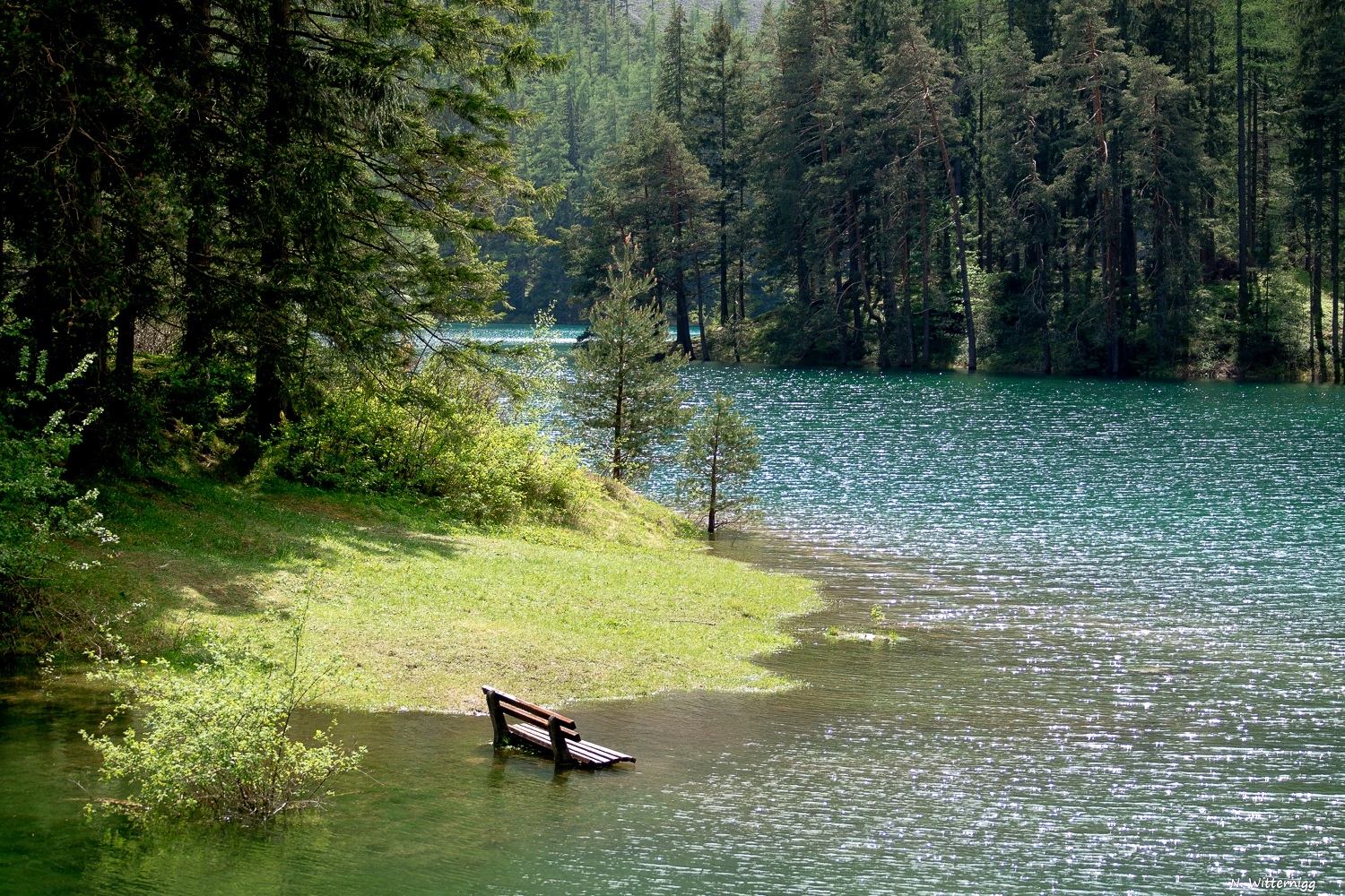 Grüner See - 3 - Bankerl unter Wasser