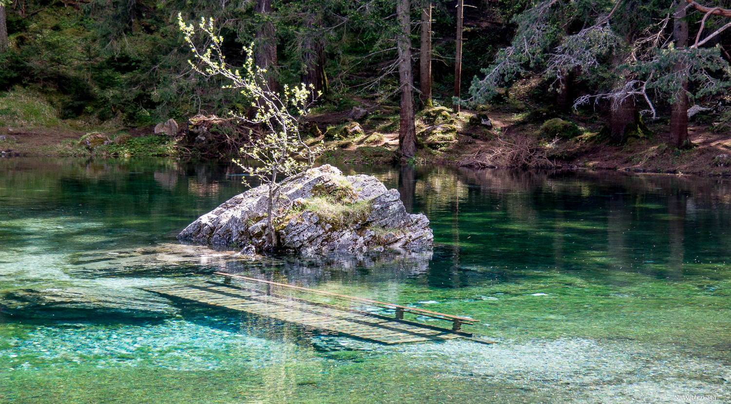 Grüner See - 6 - Unterwasserbrücke