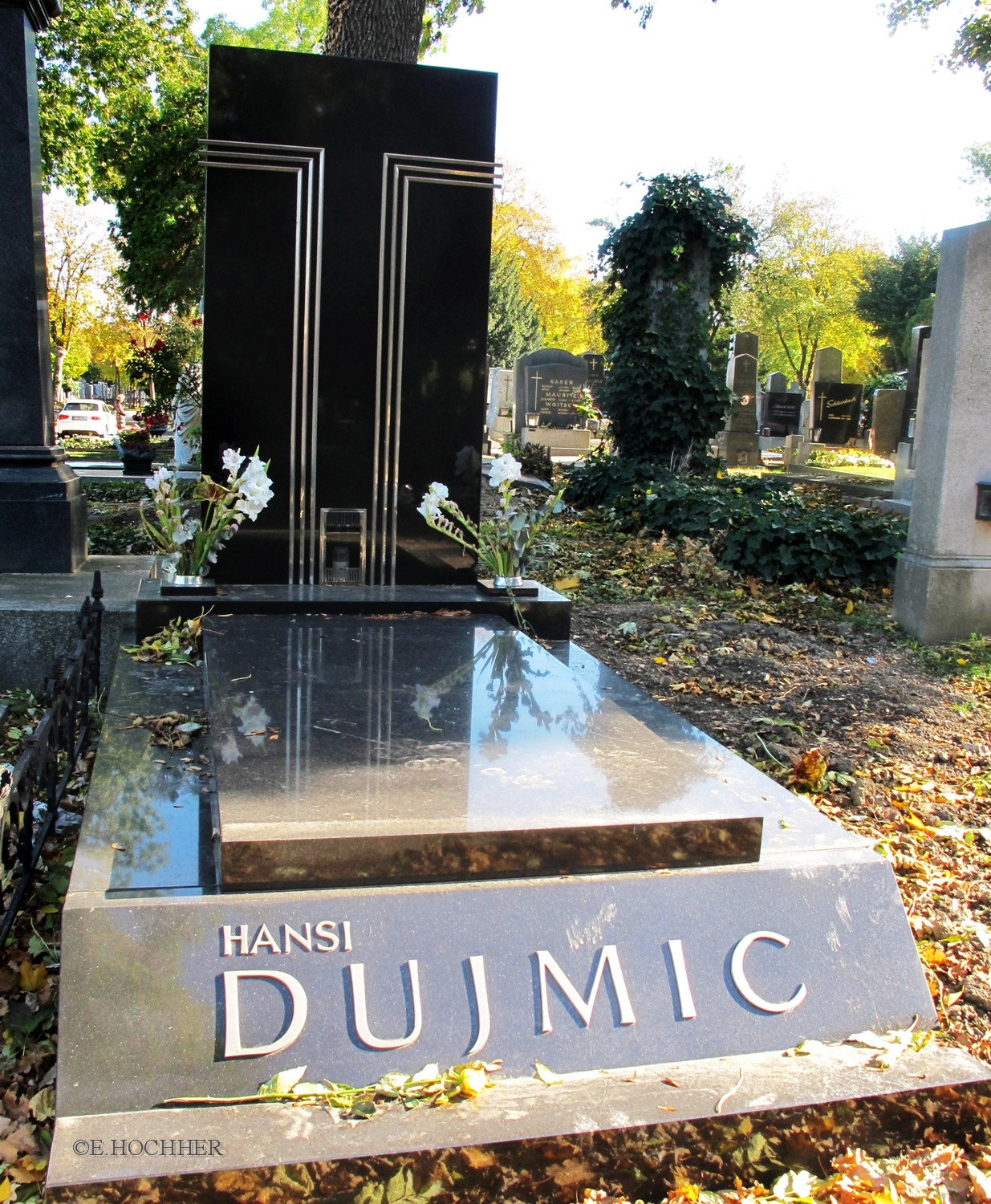 Grabmal Hansi Djumic Wiener Zentralfriedhof