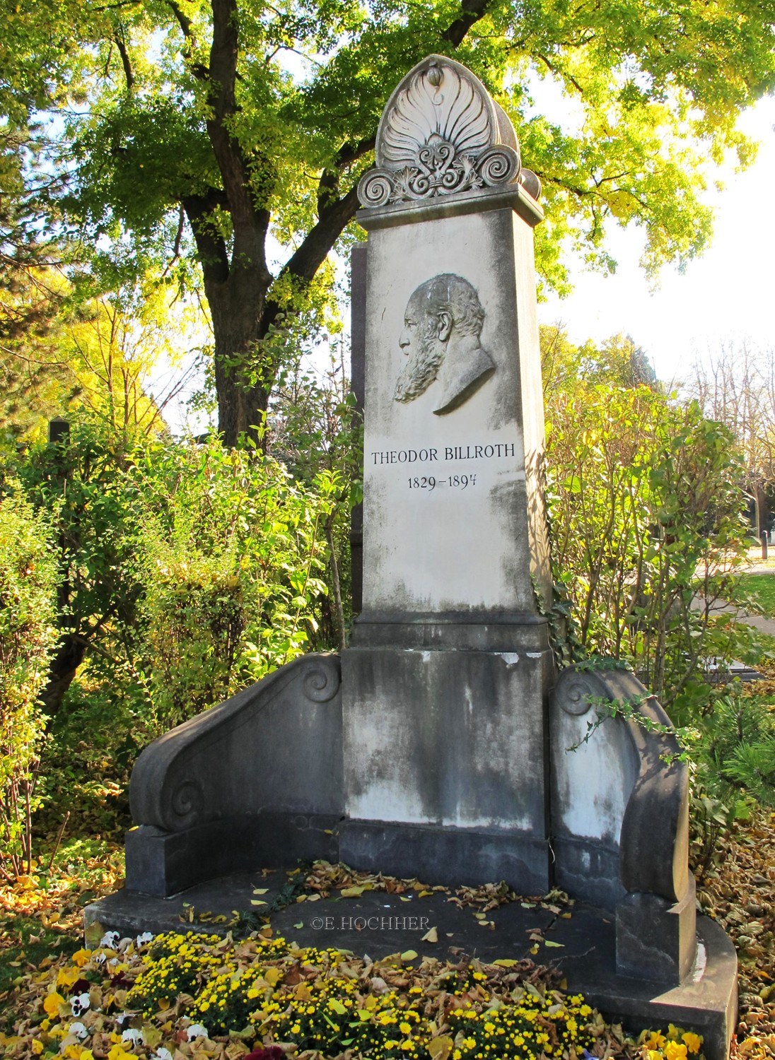 Grabmal Theodor Billroth Wiener Zentralfriedhof