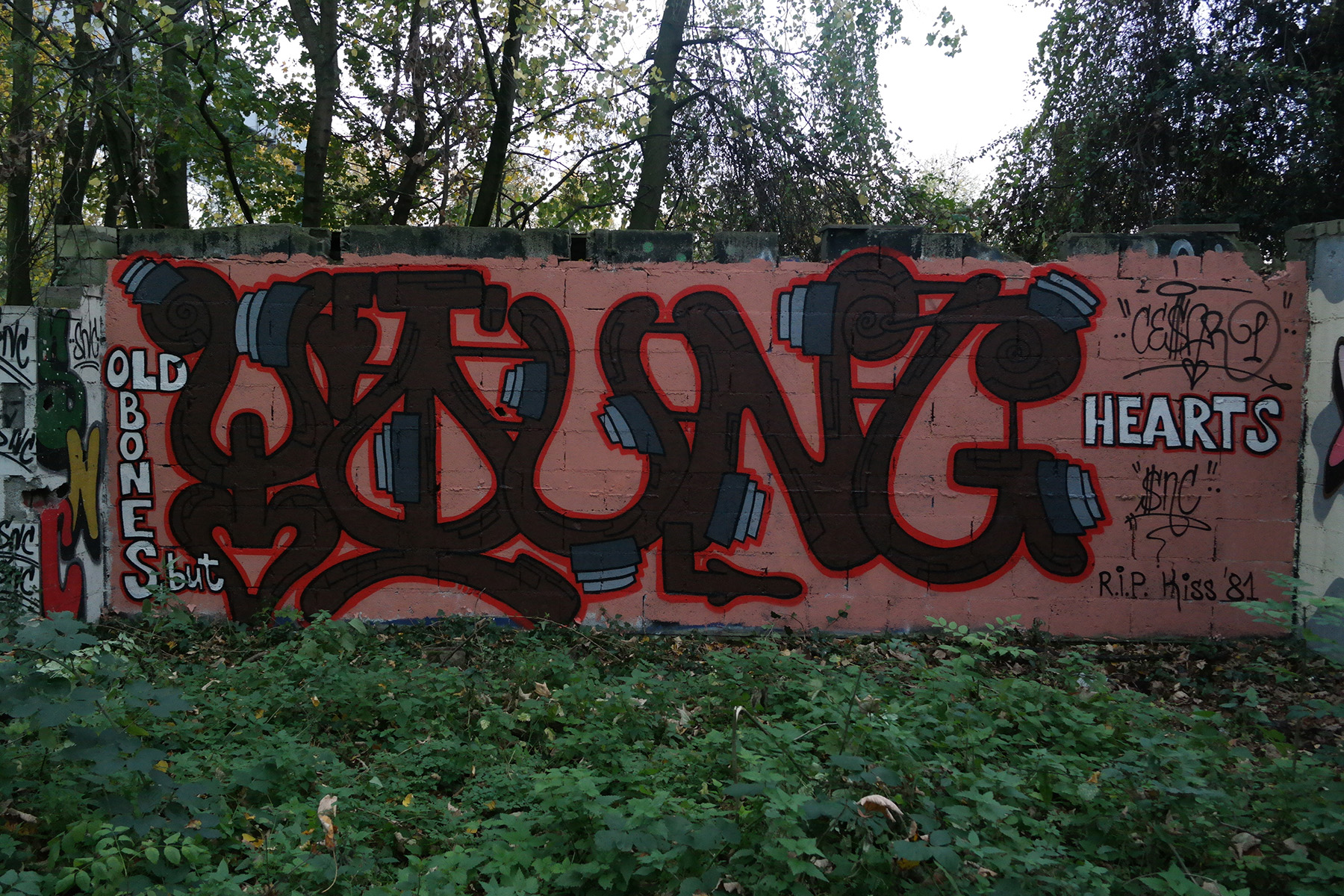 Graffiti von CesarOne.SNC