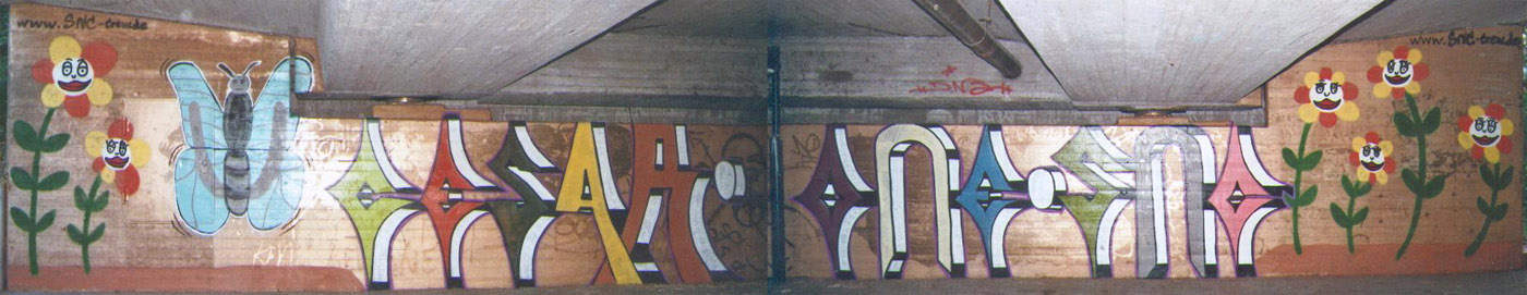 Graffitis von Cesar-SNC