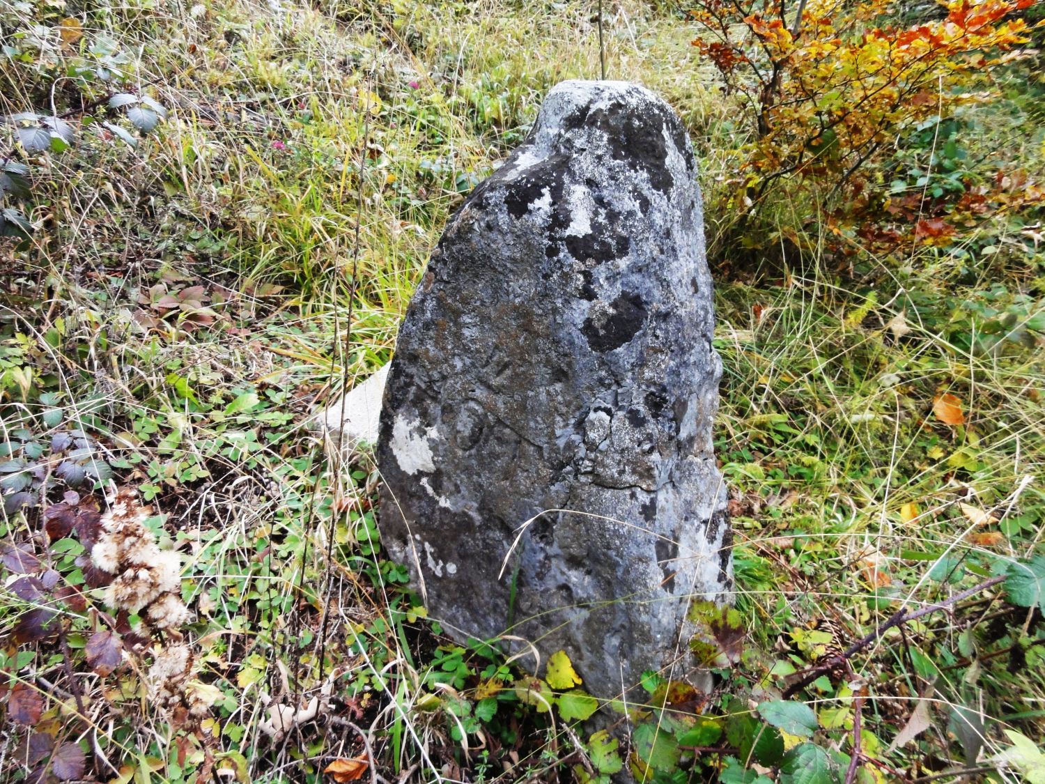 Grenzstein am Gramartboden, westseitig