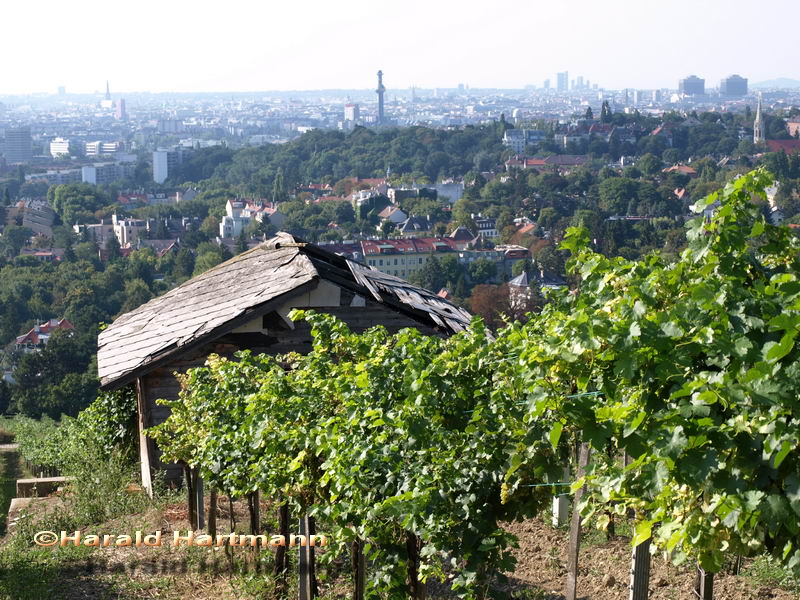 Hüterhütte Nussberg