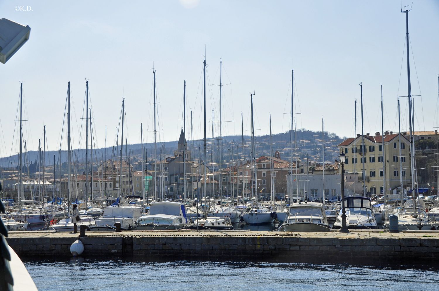 Hafen von Muggia