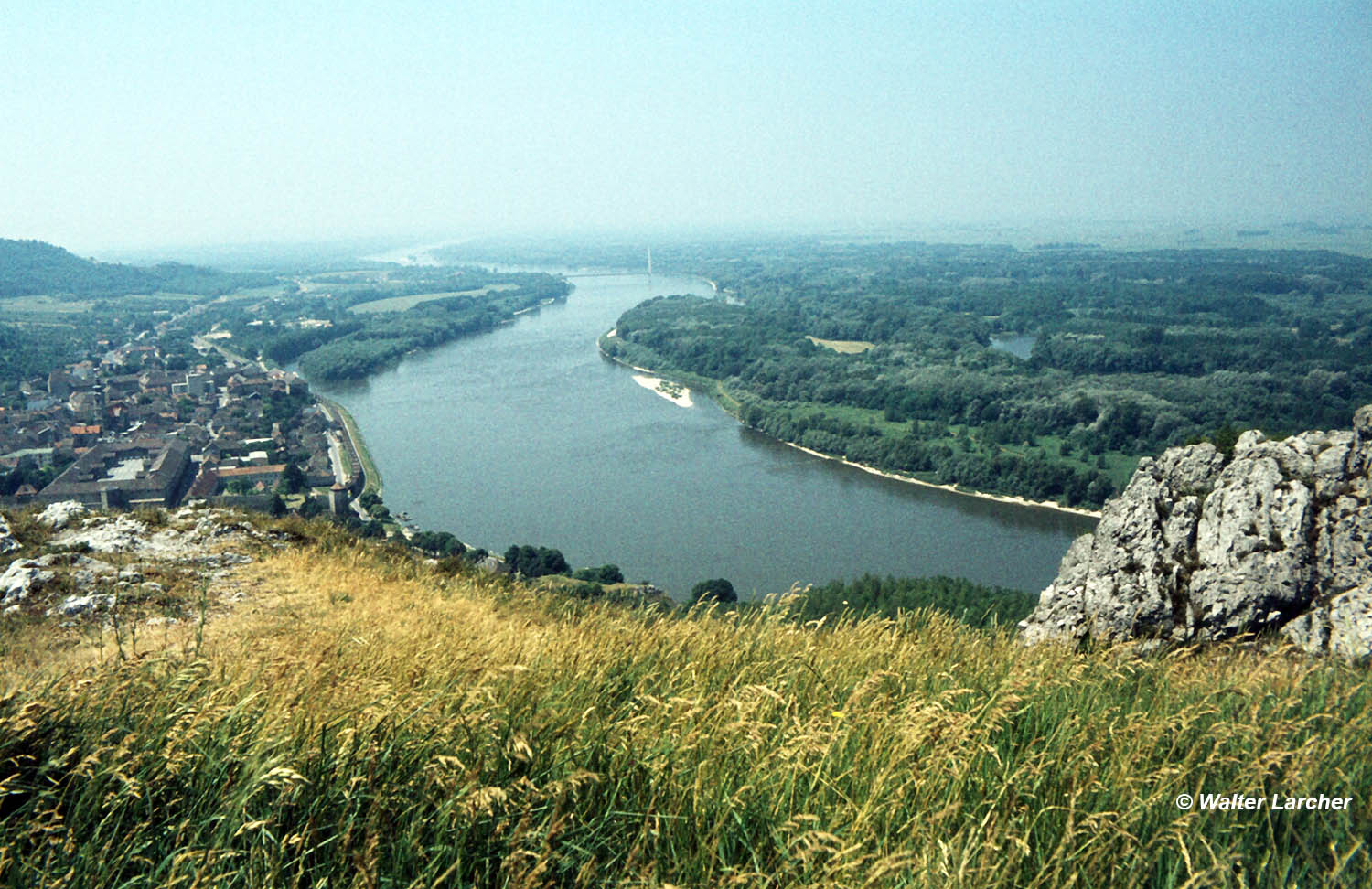 Hainburg, Pannonischer Rasen