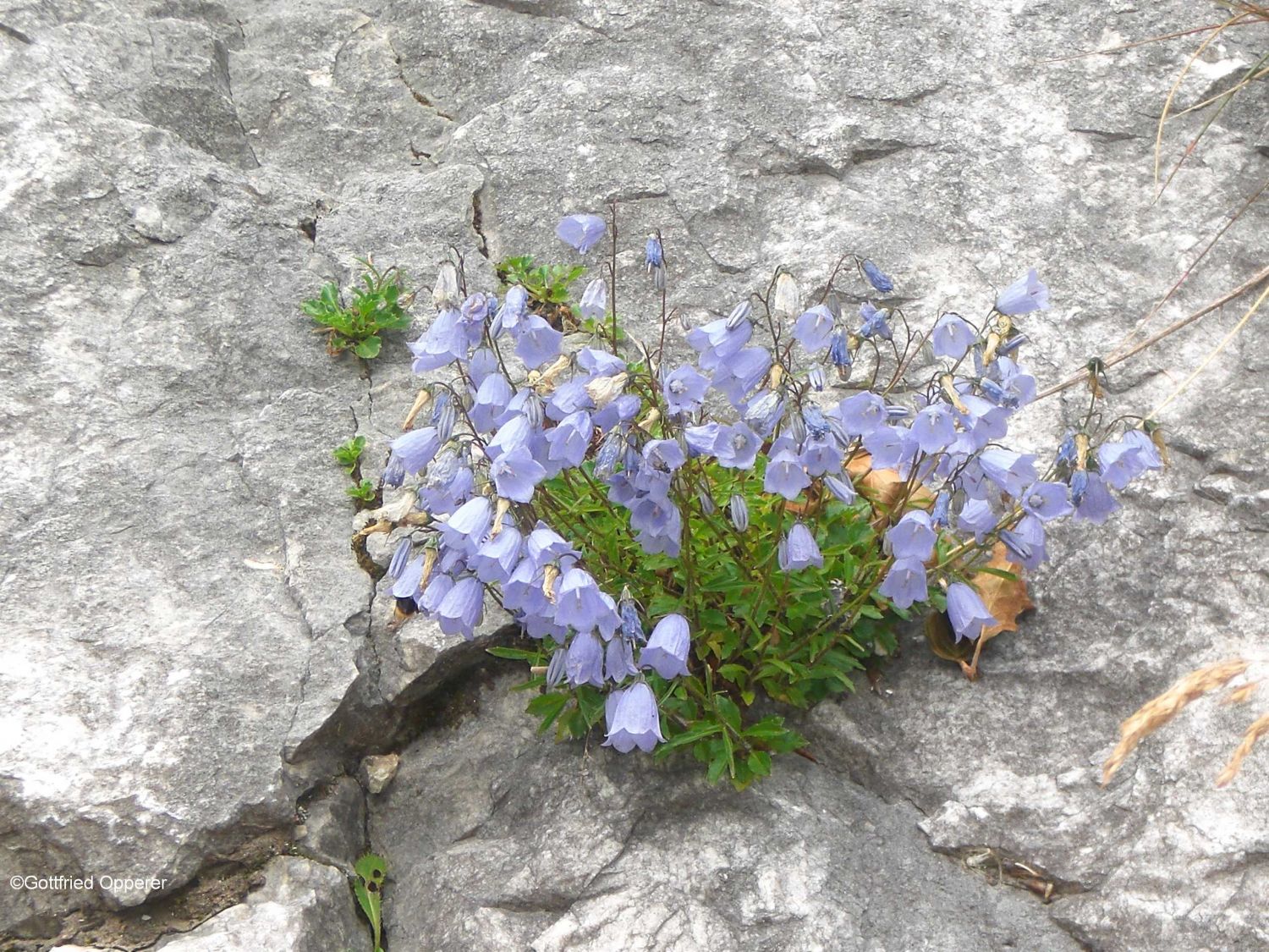 Hart ist das Leben im Gebirge