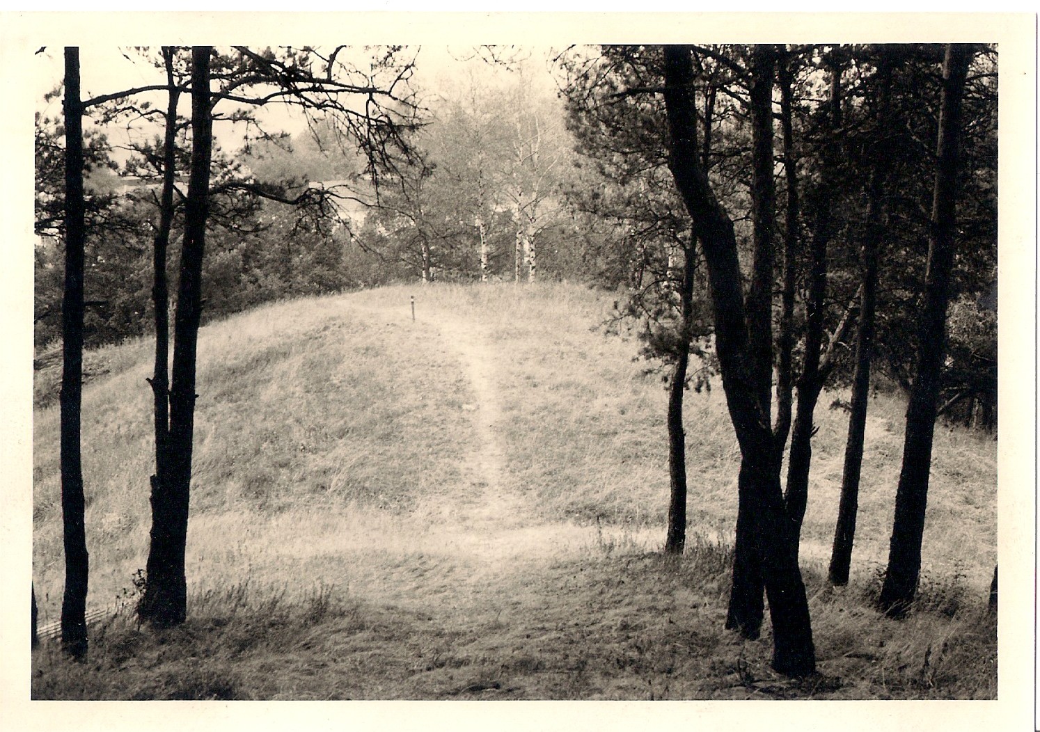 "Hausberg" bei Pleissing, Gem. Hardegg, Pol. Bezirk Hollabrunn