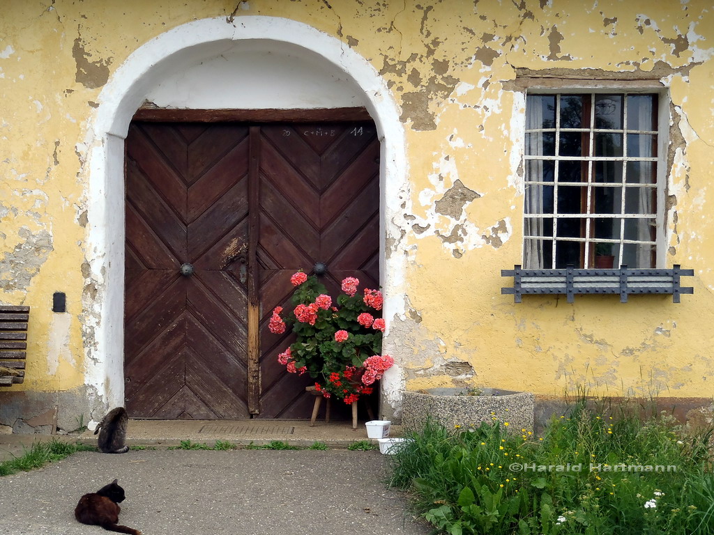 Haustür