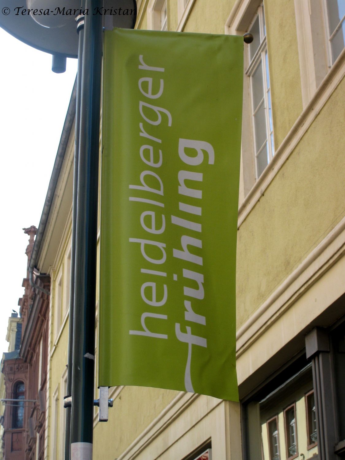 Heidelberger Frühling