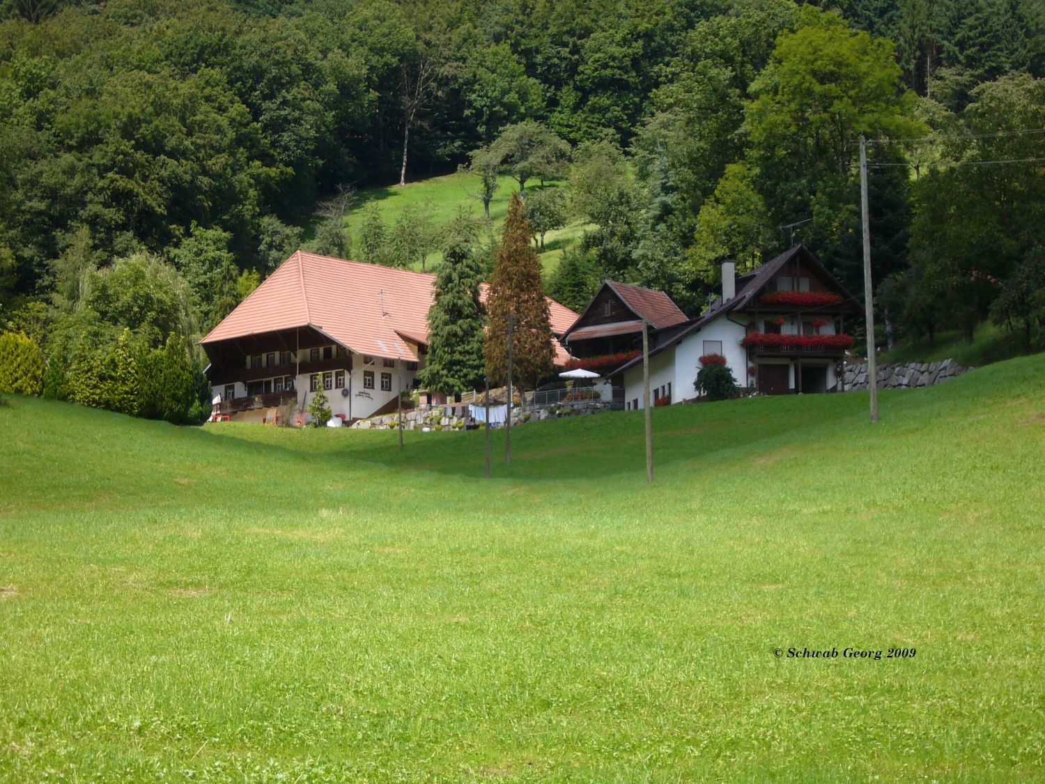 Heidenbauernhof in Welschensteinach