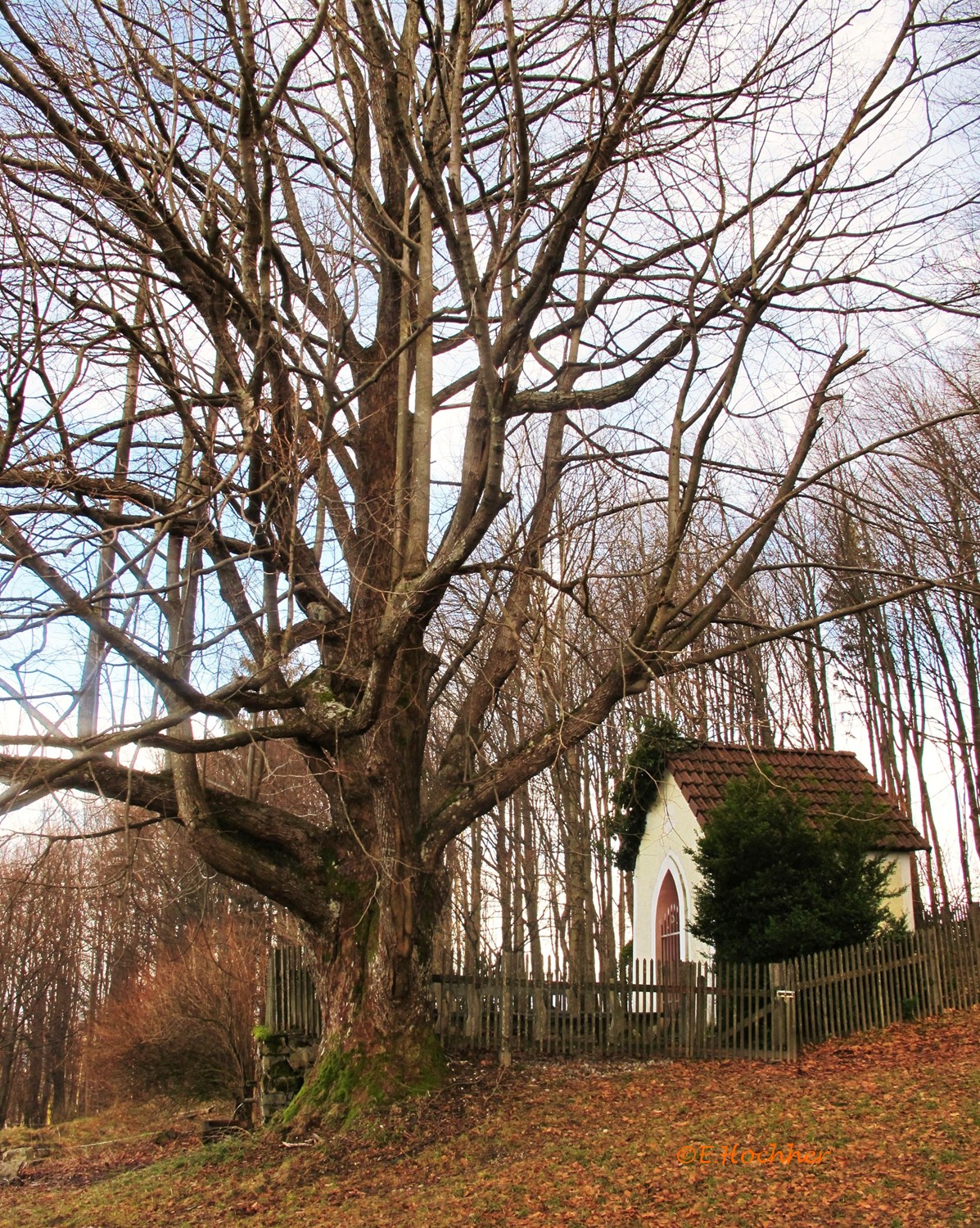 Heiligenbrunn-Kapelle