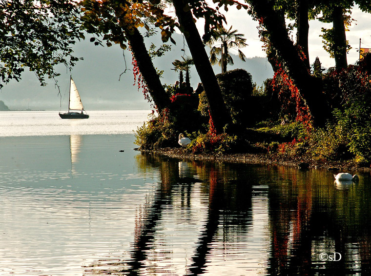 Herbst am See