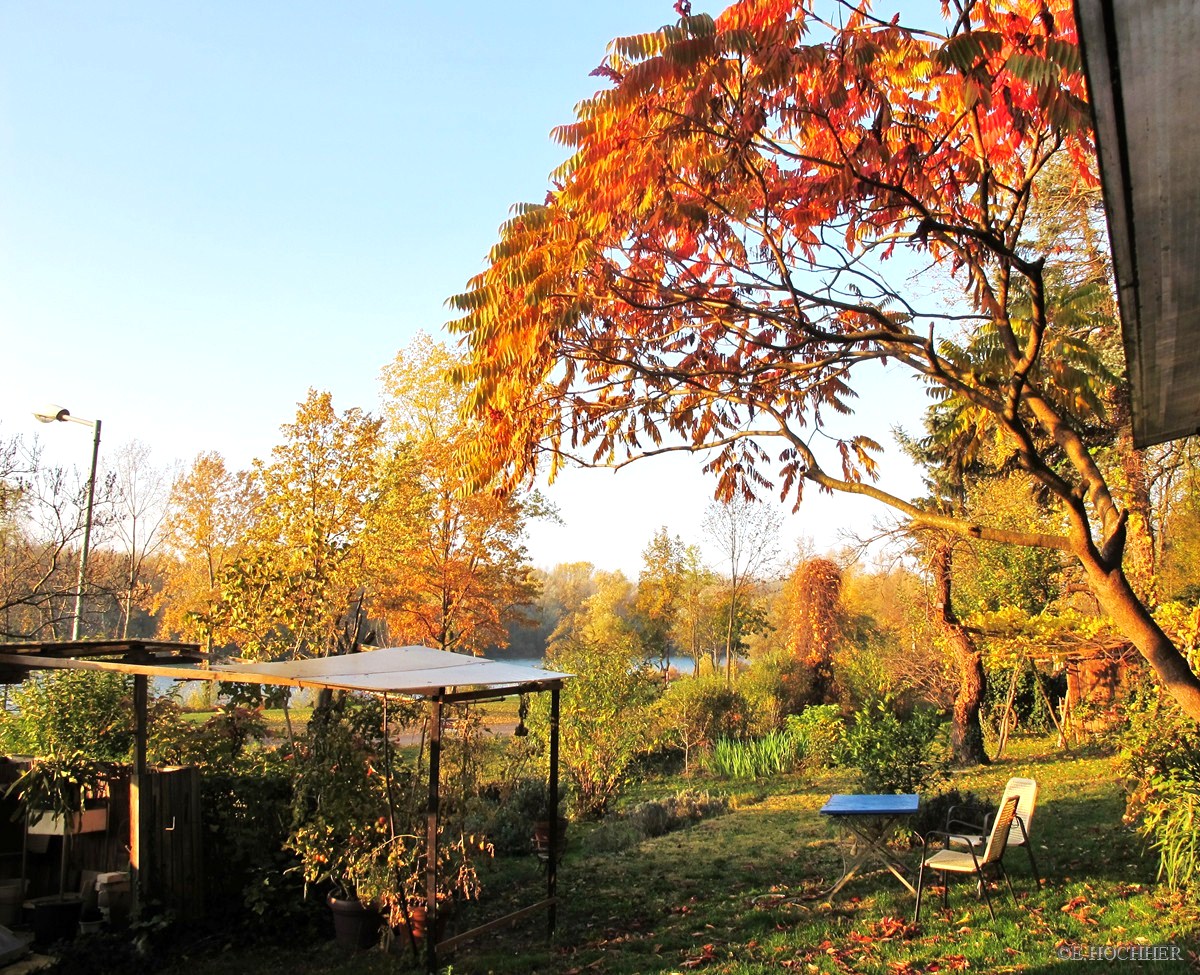 Herbst-Garten