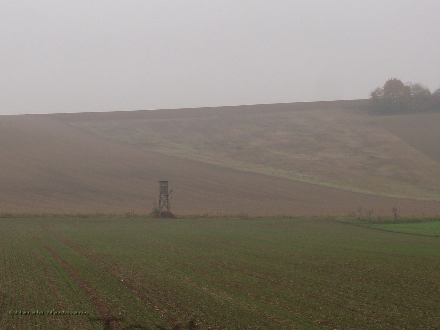 Herbst im Weinviertel