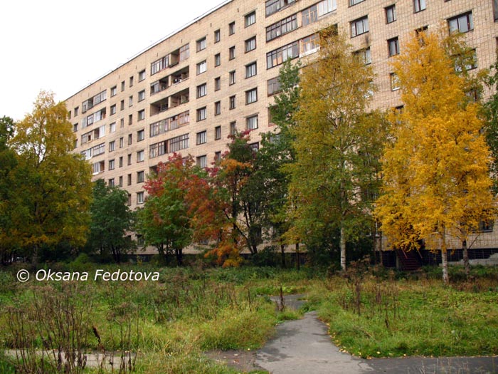 Herbst in Archangelsk