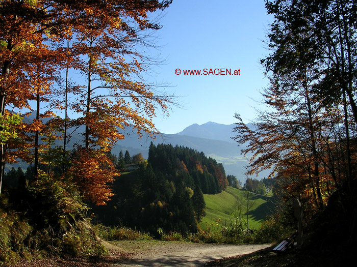 Herbst in Tirol