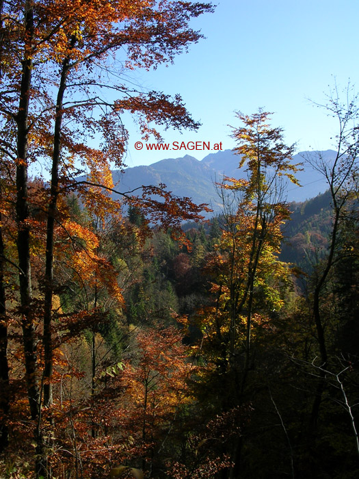 Herbst in Tirol