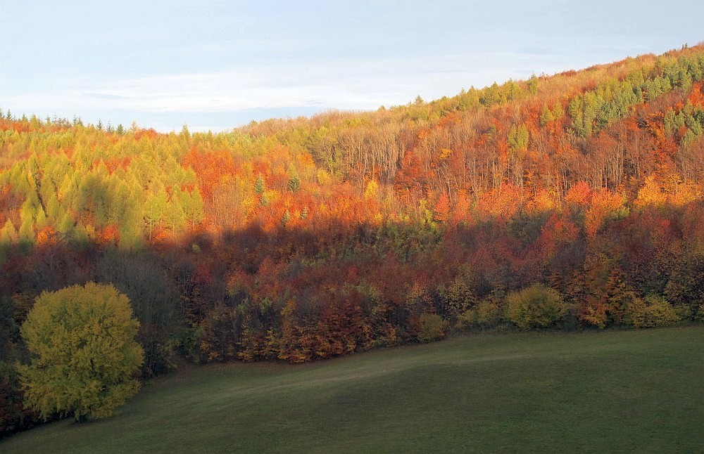 Herbst zwischen Sulzer Höhe und Höllenstein