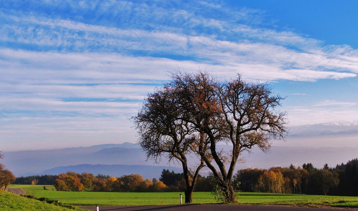 Herbst