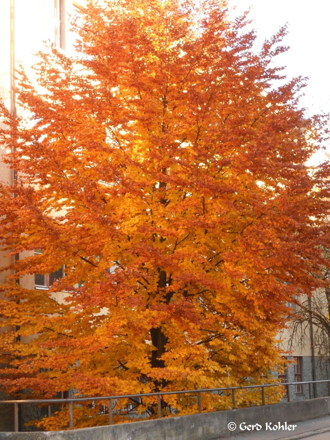 Herbst_Farben