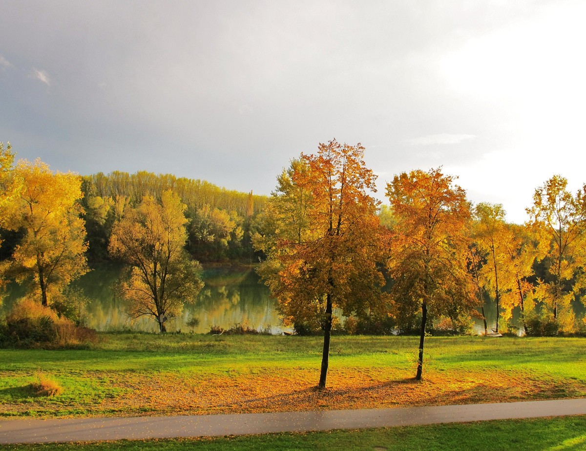 Herbstabend am Donausee