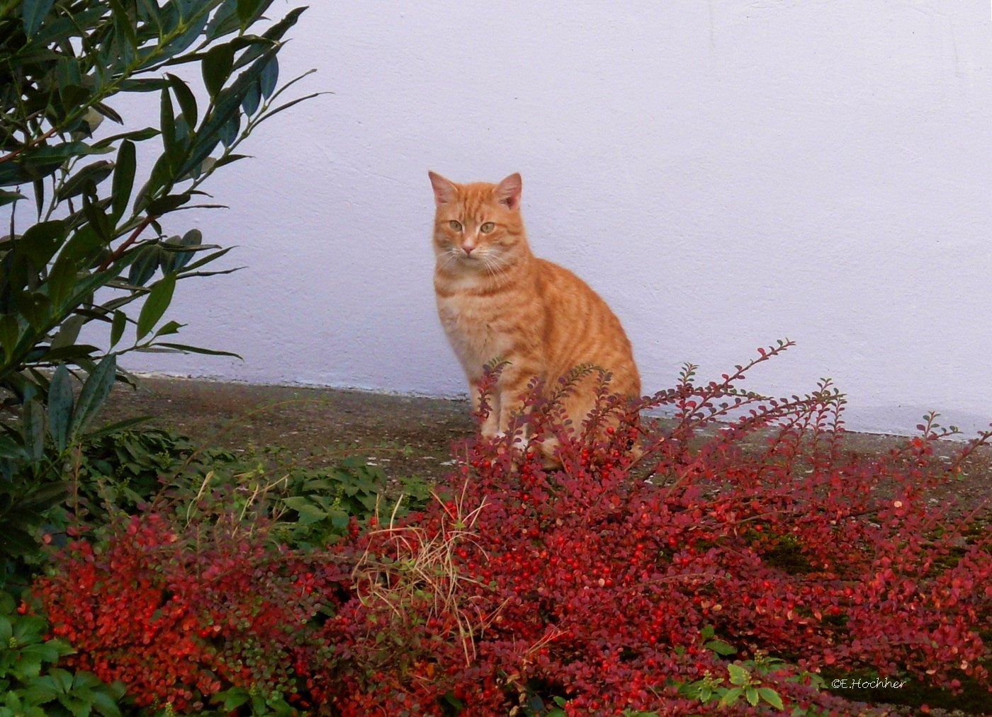 Herbstfarben