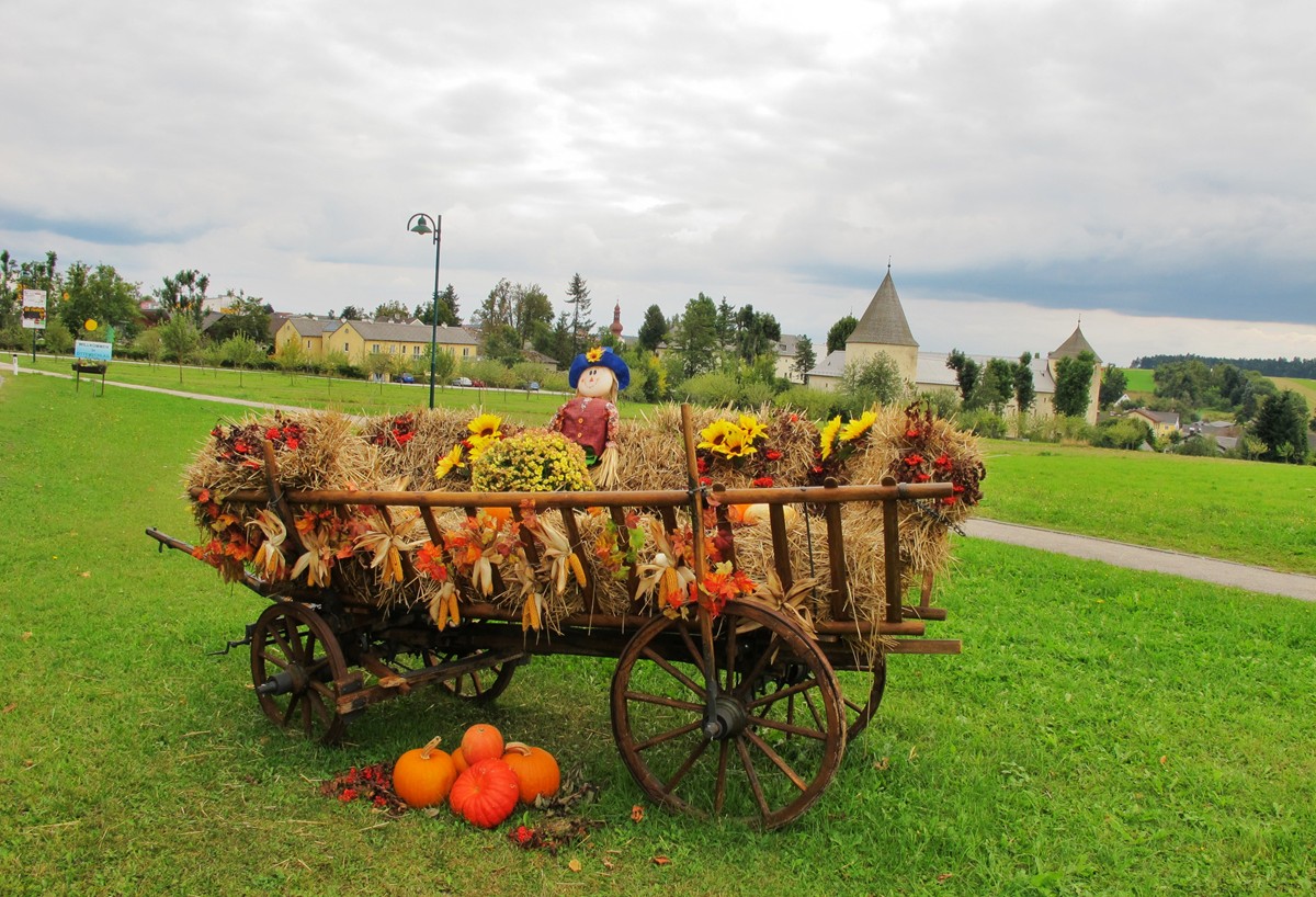 Herbstgruß