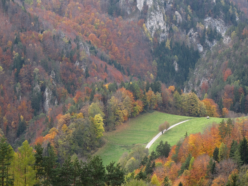 herbstlich gefärbt