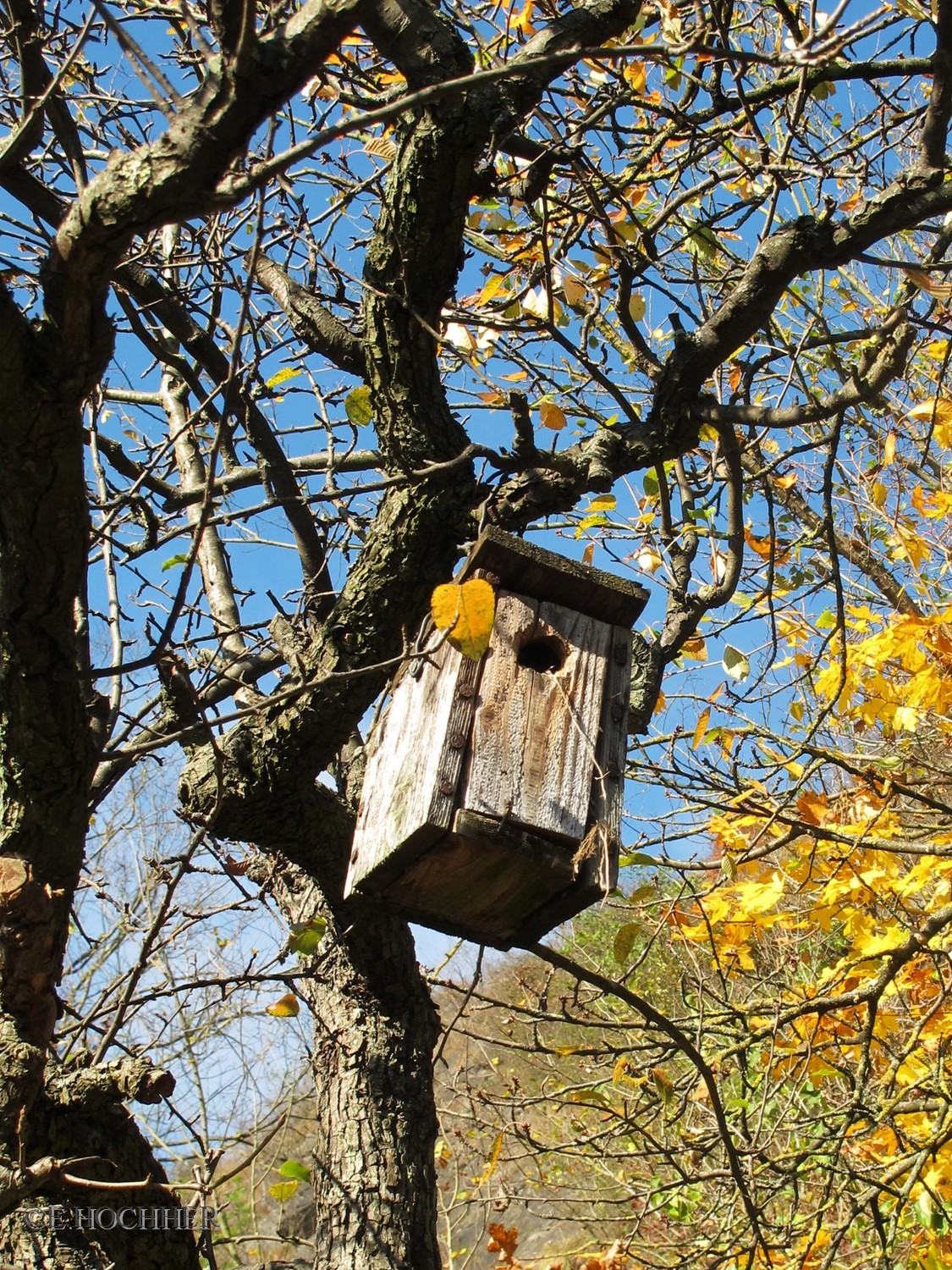 Herbstliche Gartenimpressionen