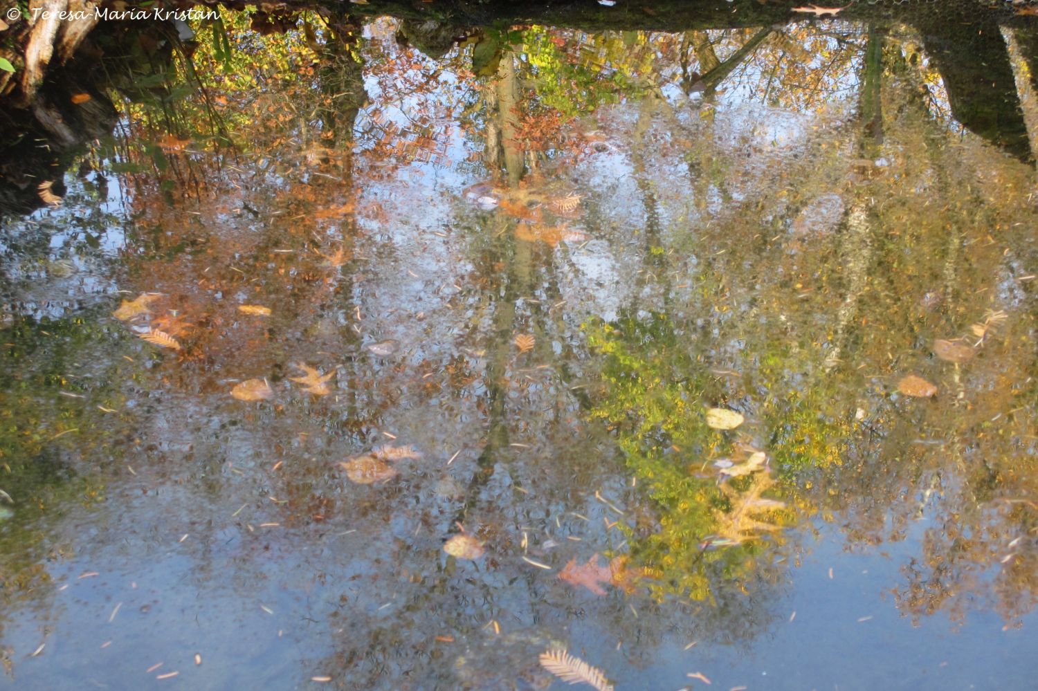 Herbstliche Impressionen vom Grazer Botanischen Garten