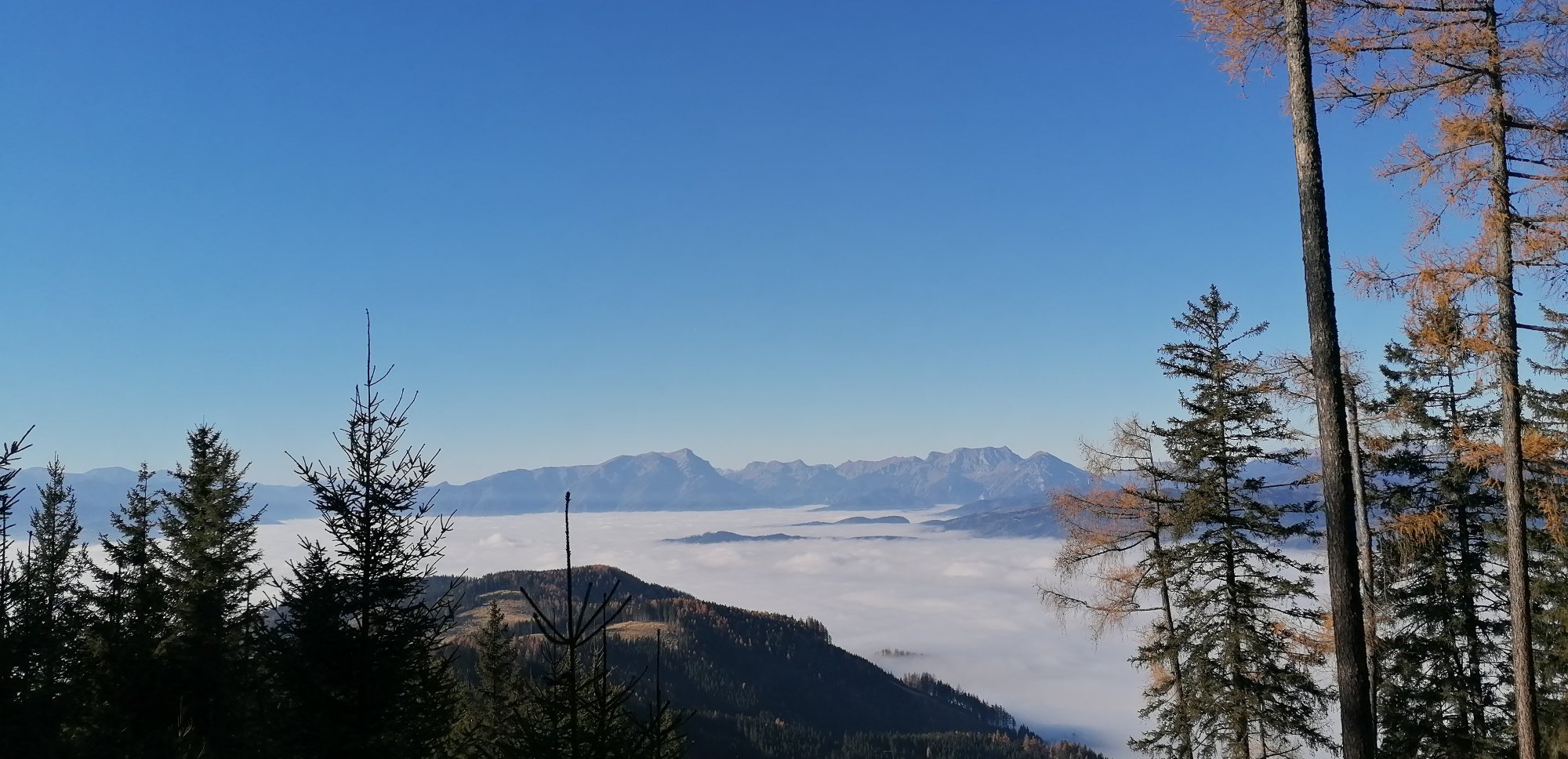 Herbstlicher Hochnebel