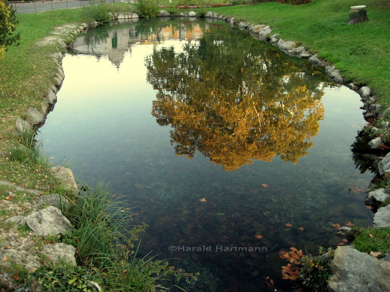 herbstlicher Teich