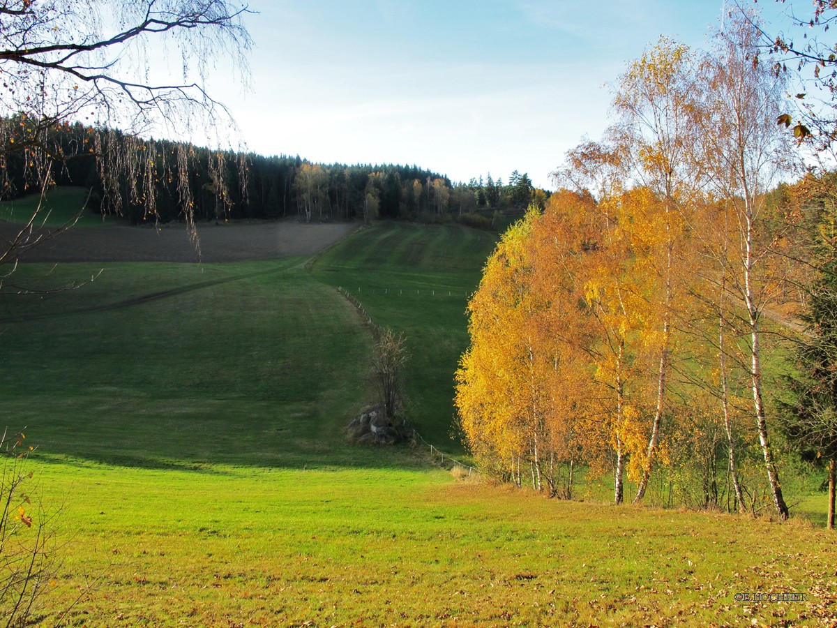 Herbstliches Waldviertel