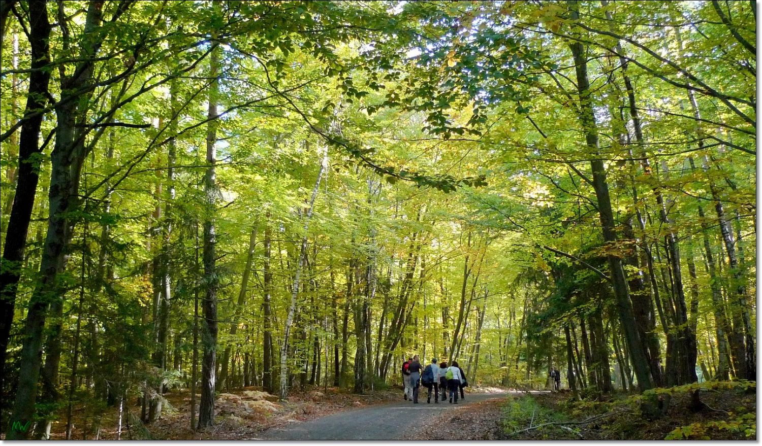 Herbstwanderung