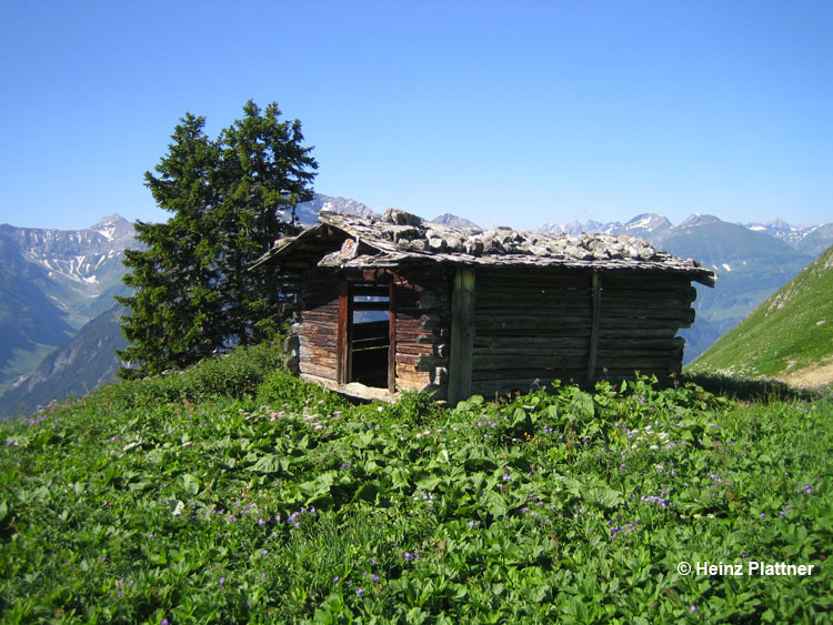 Heuhütte Lechtal