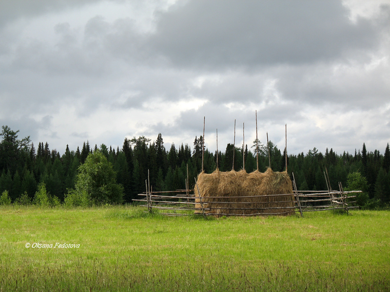 Heuschober im Feld